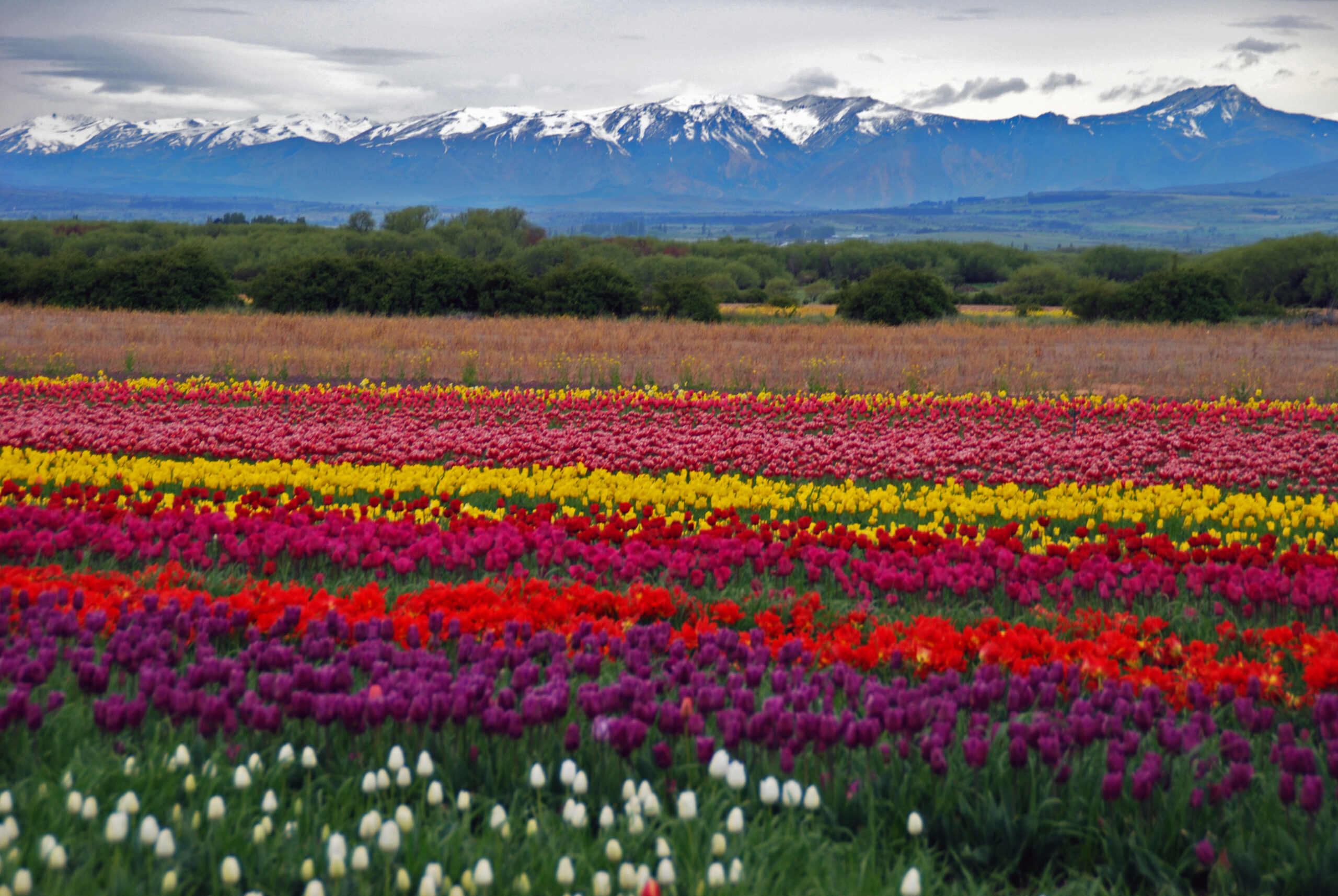 Aventura en la primavera